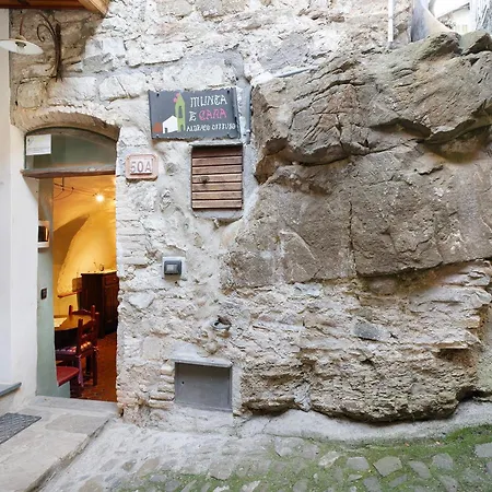 Daire Dei Fiori